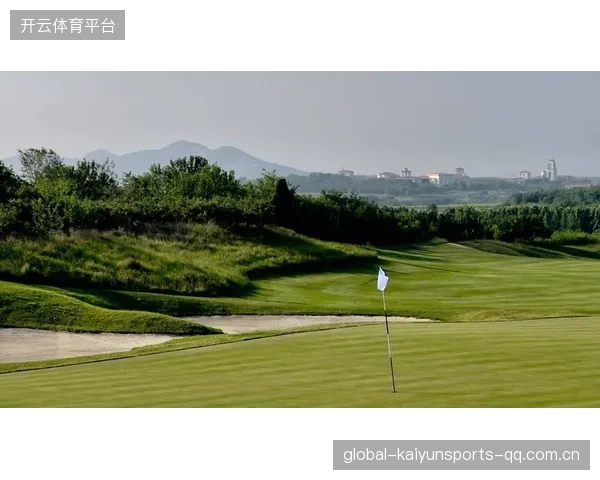 联盟启动“绿色球场”改造计划获好评，开启体育环保新篇章
